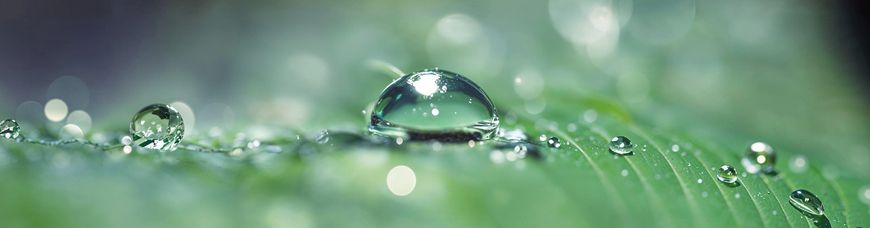 Wassersparen im Alltag